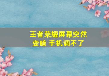 王者荣耀屏幕突然变暗 手机调不了